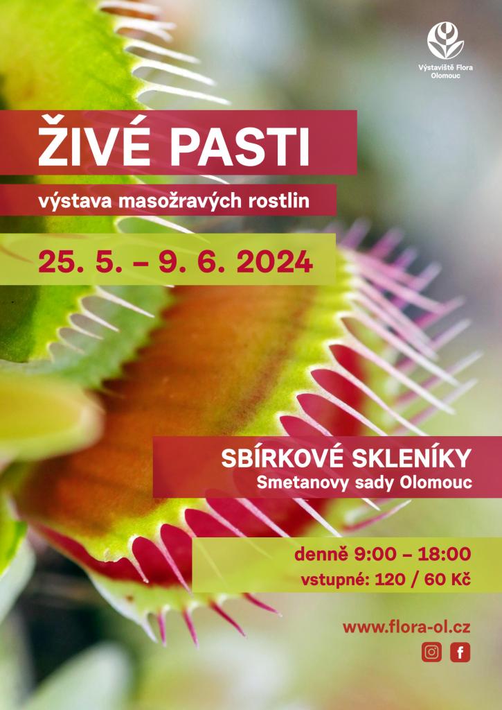 Živé pasti Olomouc