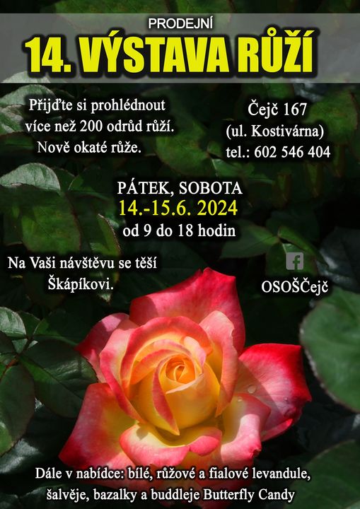 Výstava růží Čejč