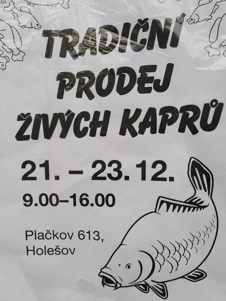 Prodej kaprů